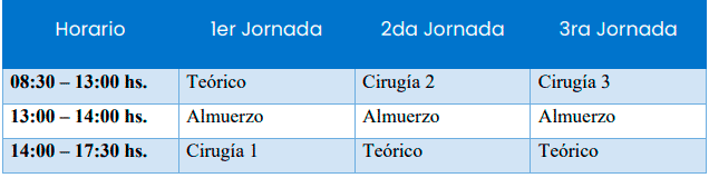 Cronograma del curso de transplante capilar